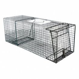 Animal Trap