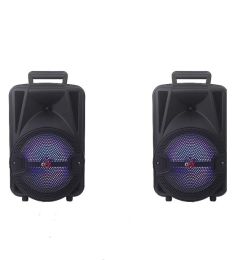 PA Bluetooth (TWS) Pair