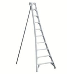 Orchard Ladder