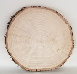 Charger Wood